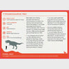 Dinosaur Deck